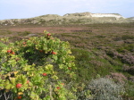 Sylt Schleswig-Holstein