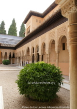 Pateo de los Leones Alhambra Granada