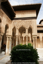 Pateo de los Leones Alhambra Granada