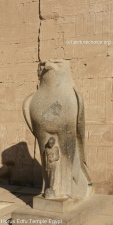 Horus Edfu Tempel