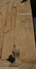 Horus Edfu Tempel
