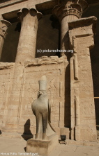 Horus Edfu Tempel