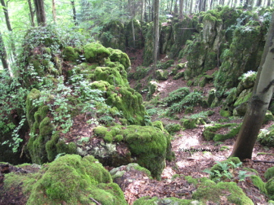 Eibgrat bei Betzenstein Fränkische Schweiz Deutschland