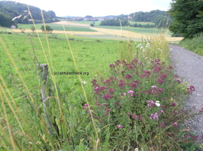 Eibgrat Franconian Switzerland Germany