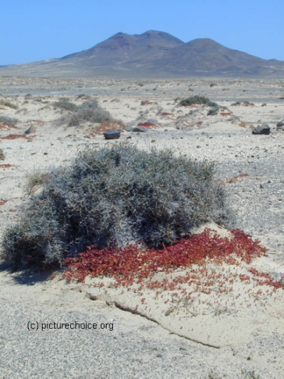 Las Talabijas Fuerteventura Canary Islands Spain