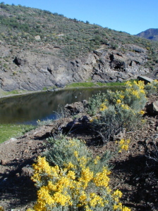 Embalse de Cueva de las Ninas Gran Canaria