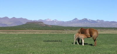 Eldborg Iceland