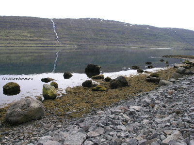 Westfjorde Vestfirðir Iceland