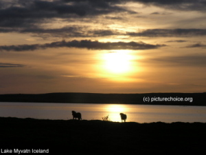 Lake Myvatn Iceland