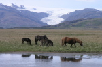 Flaajökull