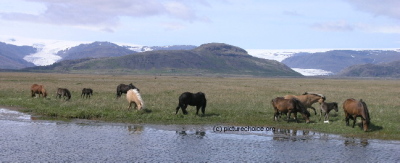 Flajökull Ost Island