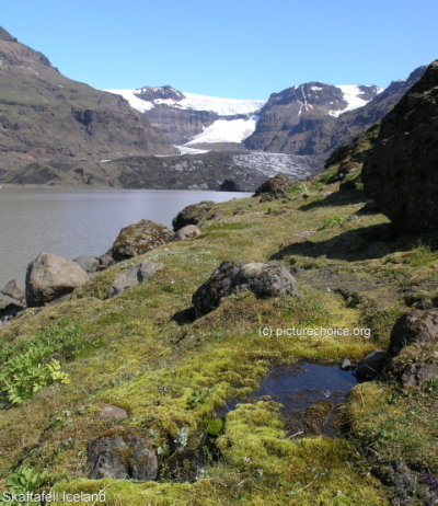 Skaftafell Iceland