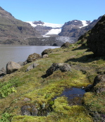 Skaftafell