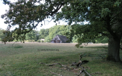 Wilsede Lüneburger Heide Niedersachsen Deutschland