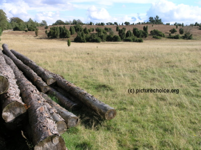 Lüneburger Heide Niedersachsen Deutschland