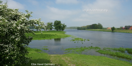 Havel-Elbaue