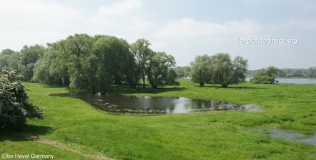 Havel-Elbaue