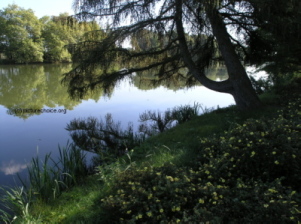 Wörlitz Park