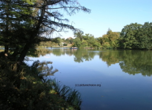 Wörlitz Park