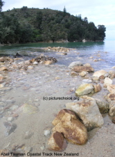 Abel Tasman Coastal Track New Zealand