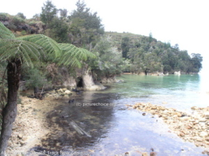 Abel Tasman Coastal Track