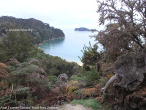 Abel Tasman Coastal Track New Zealand