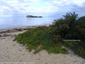 Abel Tasman Coastal Track New Zealand