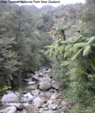 Abel Tasman National Park New Zealand