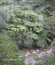 Abel Tasman National Park New Zealand