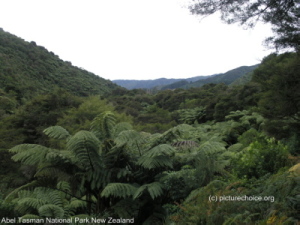 Abel Tasman National Park New Zealand