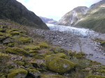 Fox Glacier Neuseeland