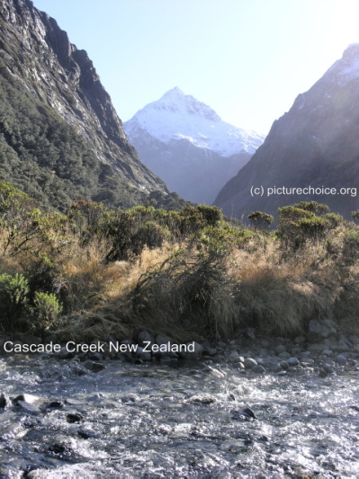 Cascade Creek New Zealand