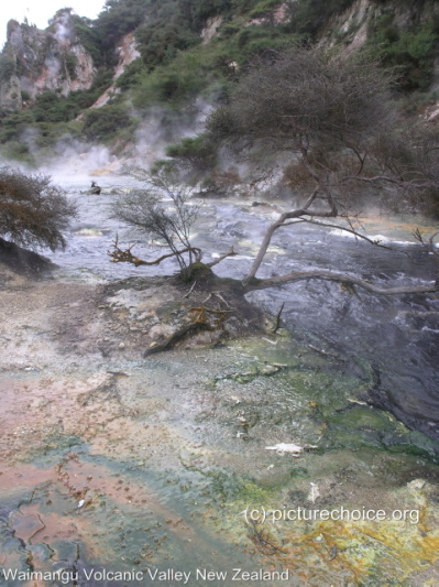 Waimangu Volcanic Valley New Zealand