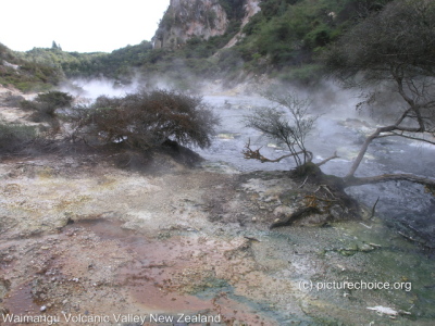 Waimangu Volcanic Valley New Zealand