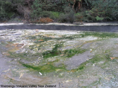 Waimangu Volcanic Valley New Zealand