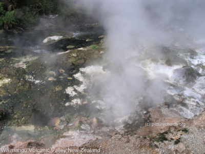 Waimangu Volcanic Valley New Zealand