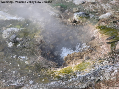 Waimangu Volcanic Valley New Zealand