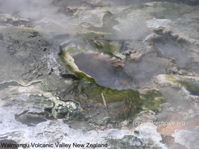 Waimangu Volcanic Valley New Zealand