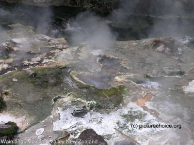 Waimangu Volcanic Valley New Zealand