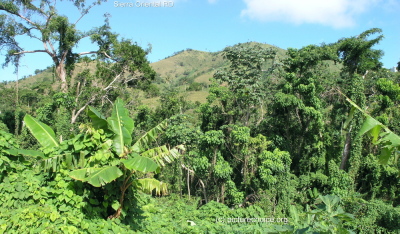 Dominican Republic (RD)