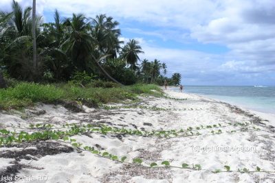 Isla Soana Dominican Republic (RD)