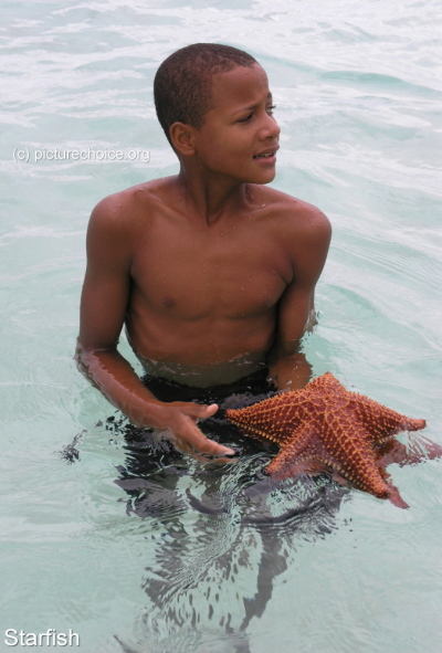 Starfish Dominican Republic (RD)