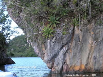 Bahia de San Lorenzo Dominican Republic (RD)