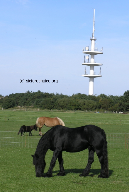 Wyk on Föhr island Schleswig-Holstein Germany