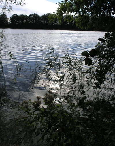 Lake Schaalsee biosphere reserve Germany